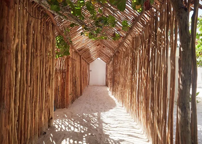 Roc Luxe Tulum
